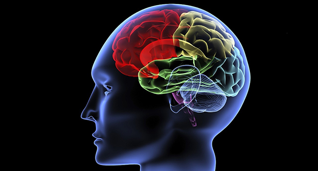 Scanning of a human brain by X-rays